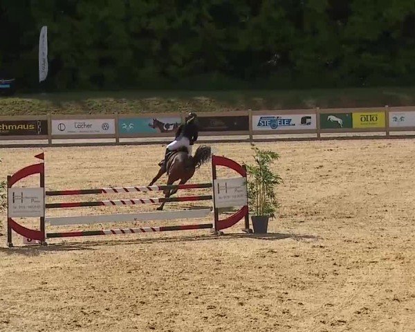 Reitturnier Tiefenhof/Opf. 2025