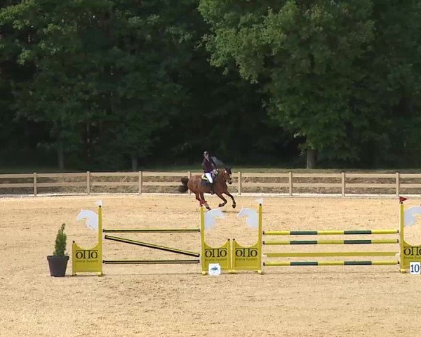 Reitturnier Tiefenhof/Opf. 2025
