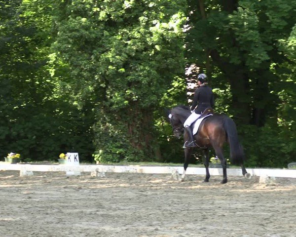 Reitturnier Königsborn 2025