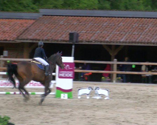 Reitturnier Alvern 2025