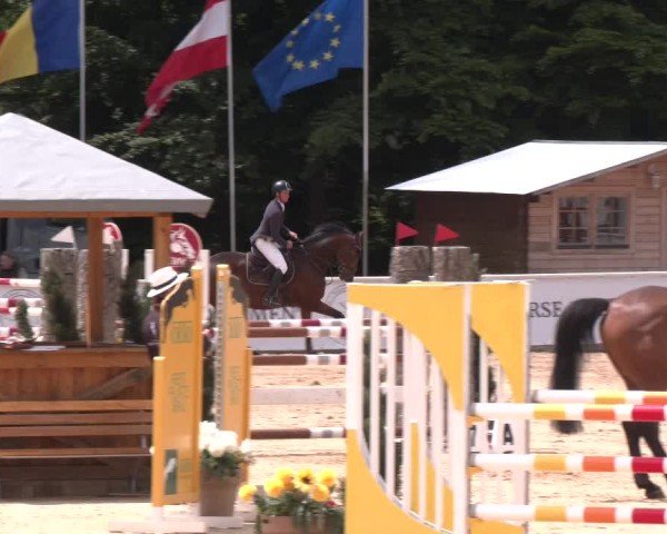 Reitturnier Ranshofen - Braunau am Inn 2025