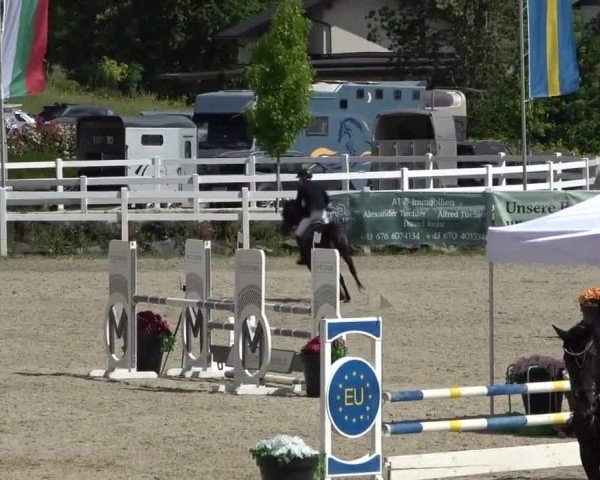 Reitturnier St. Margarethen 2025