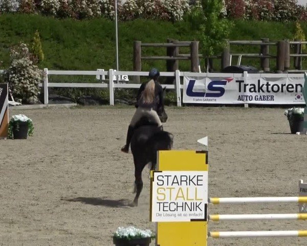 Reitturnier St. Margarethen 2025