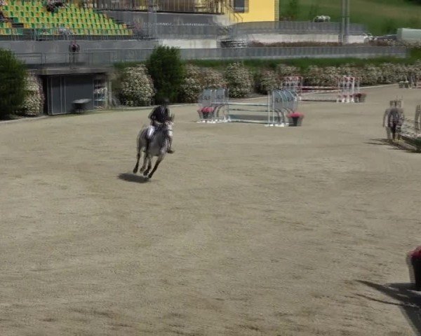 Reitturnier St. Margarethen 2025