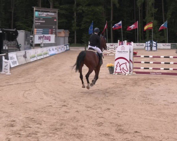 Reitturnier Ranshofen - Braunau am Inn 2025
