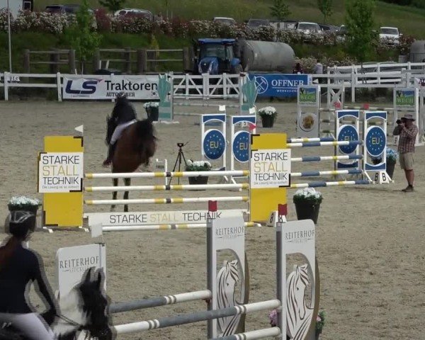 Reitturnier St. Margarethen 2025