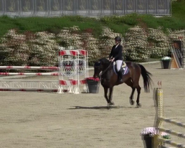 Reitturnier St. Margarethen 2025