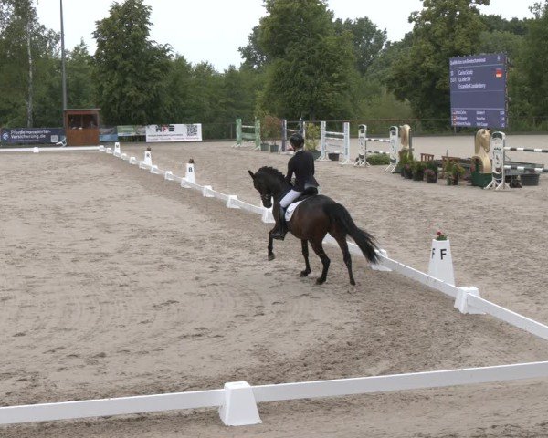 Reitturnier Erkrath - Uhlenhof 2025