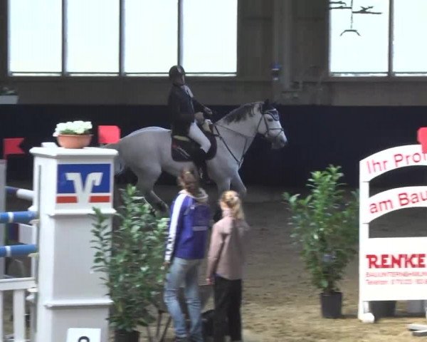 Hallenspringturnier Weilheim/Teck 2014