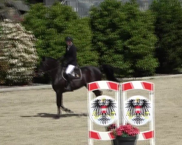 Reitturnier St. Margarethen 2025