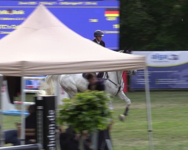 Reitturnier Zeven 2025