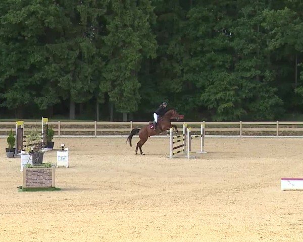 Reitturnier Tiefenhof/Opf. 2025