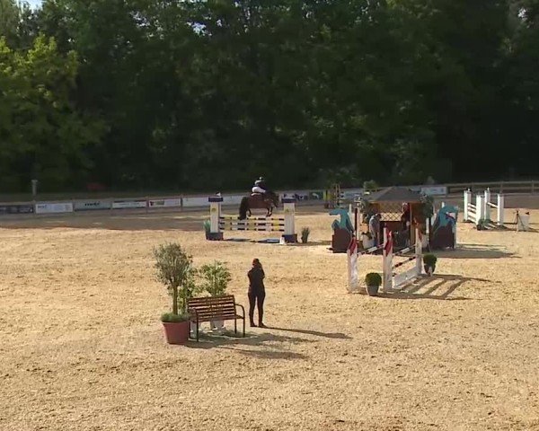 Reitturnier Tiefenhof/Opf. 2025