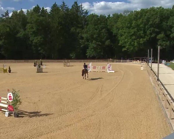 Reitturnier Tiefenhof/Opf. 2025