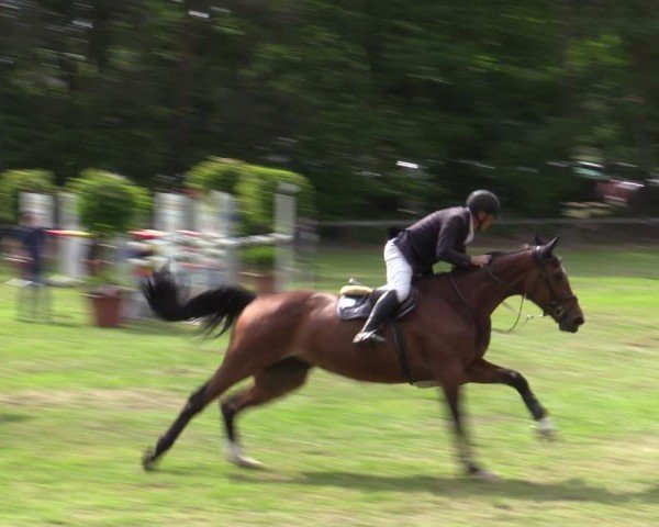 Reitturnier Zeven 2025
