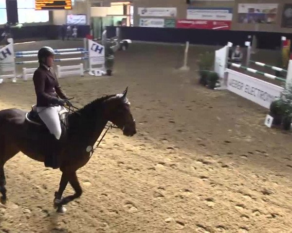 Hallenspringturnier Weilheim/Teck 2014
