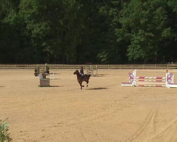 Reitturnier Tiefenhof/Opf. 2025