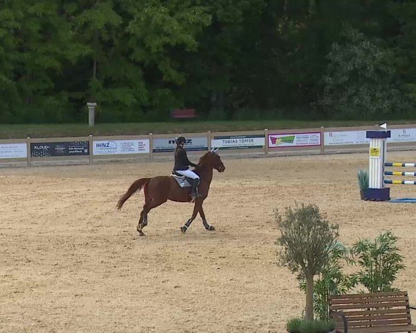 Reitturnier Tiefenhof/Opf. 2025