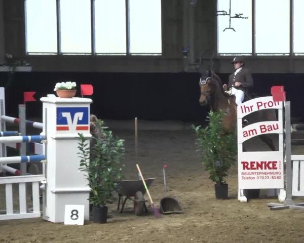 Hallenspringturnier Weilheim/Teck 2014