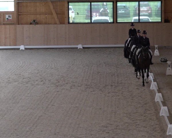 Reitturnier Aadorf 2025