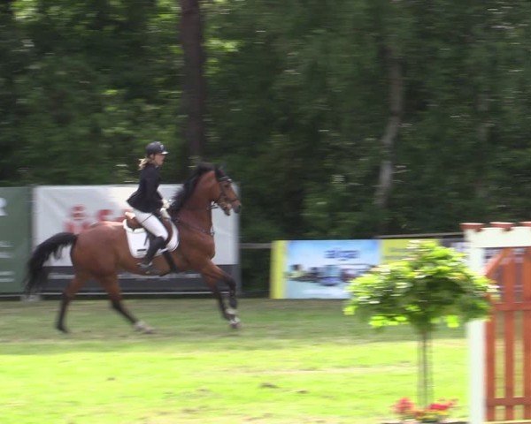 Reitturnier Zeven 2025