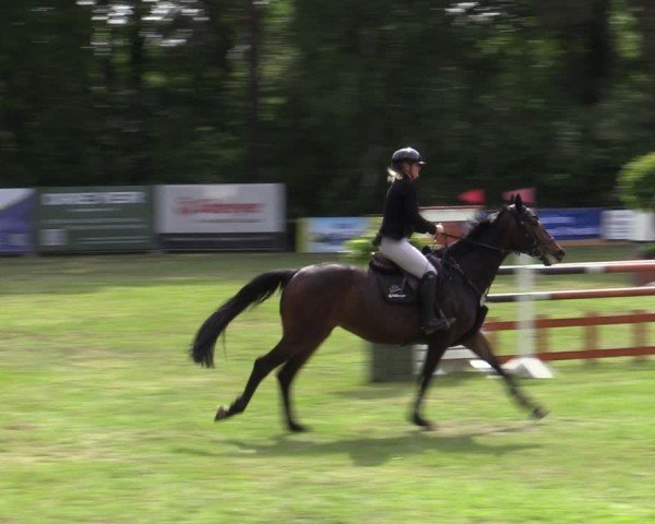 Reitturnier Zeven 2025