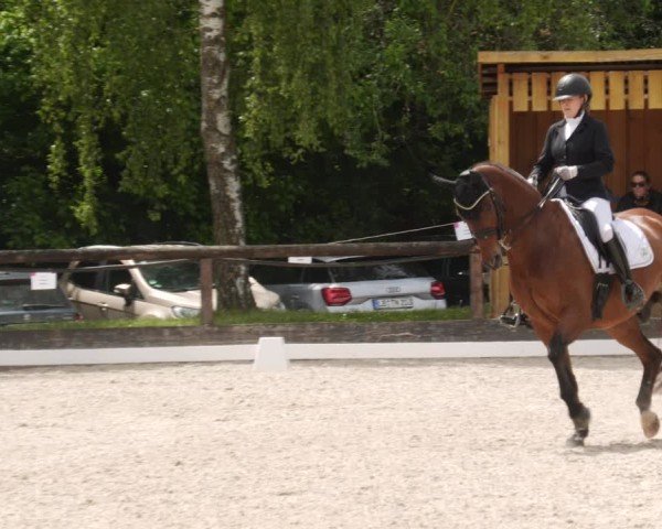 Reitturnier Leonberg 2025