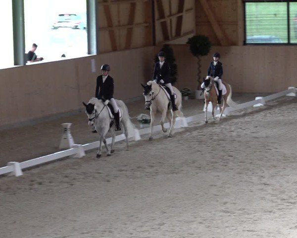 Reitturnier Aadorf 2025
