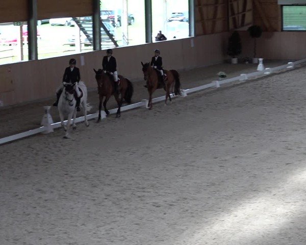 Reitturnier Aadorf 2025