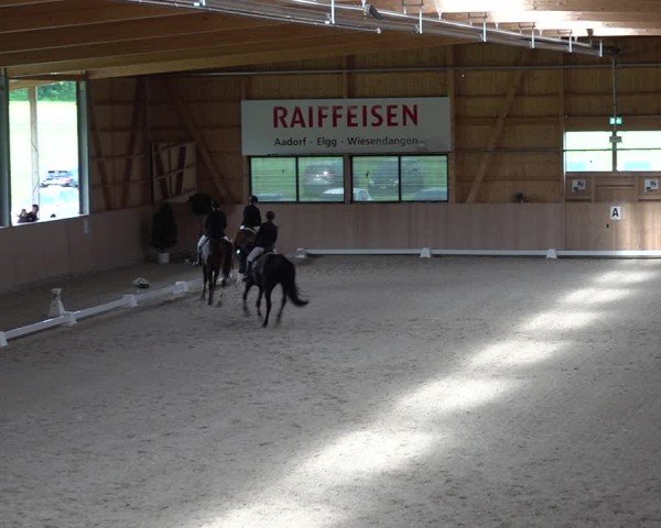 Reitturnier Aadorf 2025