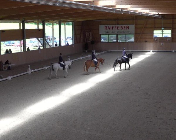 Reitturnier Aadorf 2025
