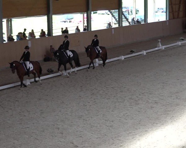 Reitturnier Aadorf 2025