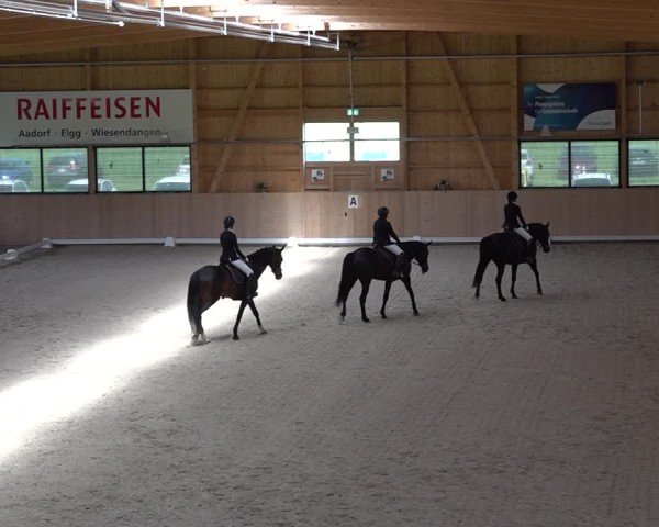 Reitturnier Aadorf 2025