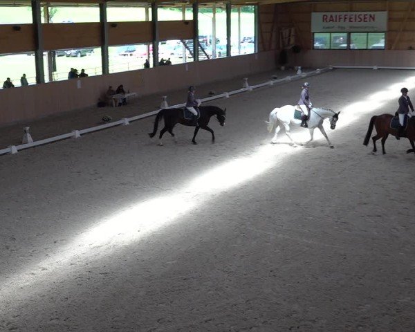 Reitturnier Aadorf 2025