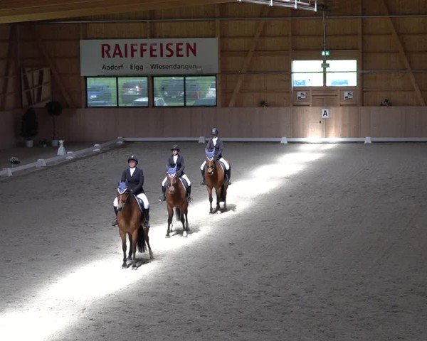 Reitturnier Aadorf 2025