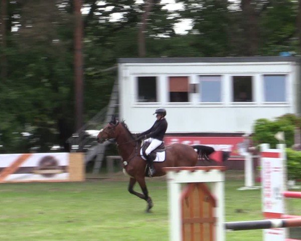 Reitturnier Zeven 2025