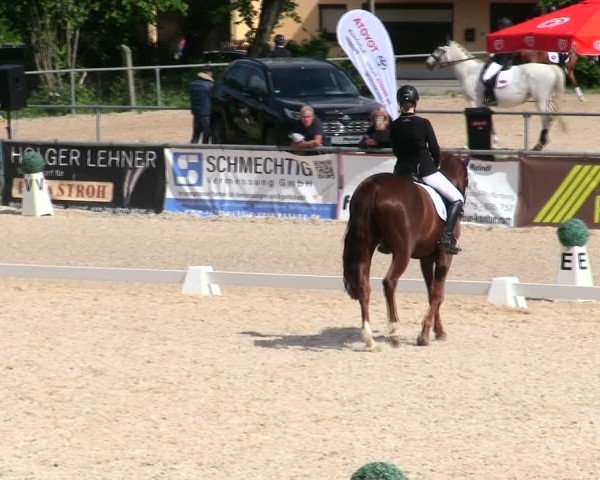 Reitturnier Mallersdorf-Pfaffenberg/Ndb. 2025