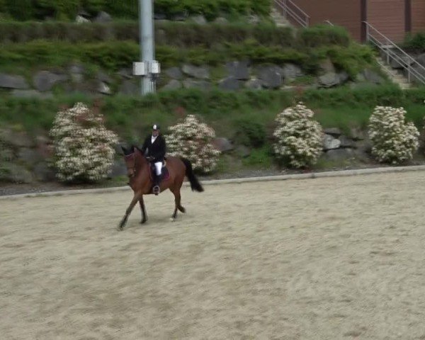 Reitturnier St. Margarethen 2025