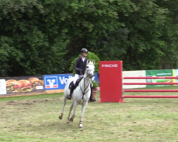 Reitturnier Zeven 2025