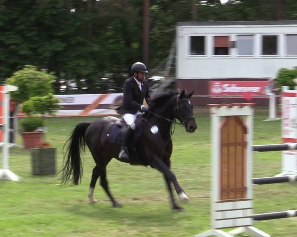 Reitturnier Zeven 2025