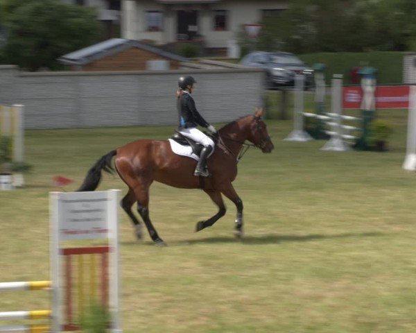 Reitturnier Buckow bei Beeskow (LOS) 2025
