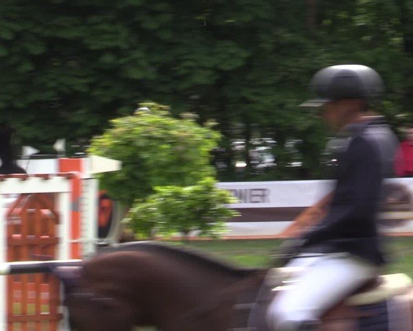 Reitturnier Zeven 2025