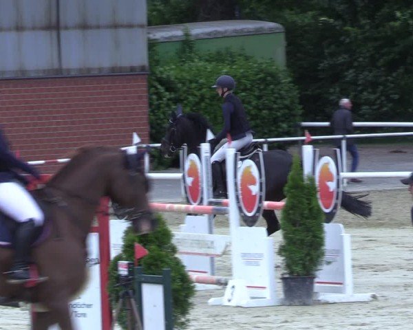 Reitturnier Ostenfelde-Vornholz 2025