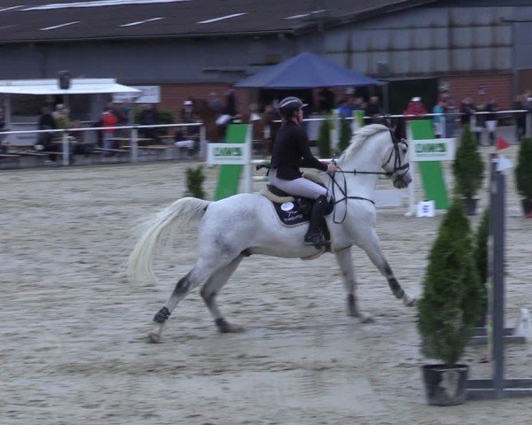 Reitturnier Ostenfelde-Vornholz 2025