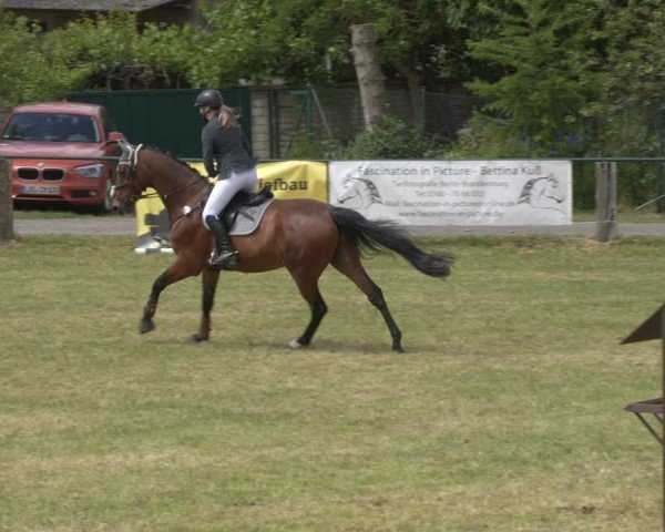 Reitturnier Buckow bei Beeskow (LOS) 2025