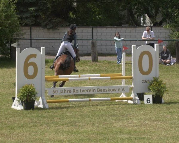Reitturnier Buckow bei Beeskow (LOS) 2025
