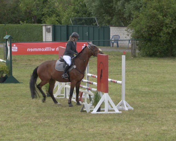 Reitturnier Buckow bei Beeskow (LOS) 2025
