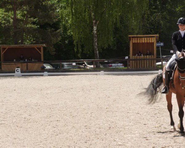 Reitturnier Leonberg 2025