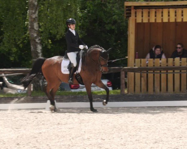 Reitturnier Leonberg 2025
