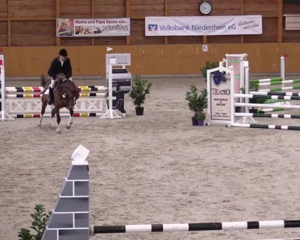 Hallenspringturnier Xanten - Reitanlage Miß 2014